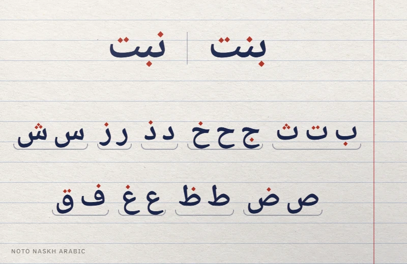 Page de cahier en Noto Naskh Arabic : bint et nabt ont le même squelette, et neuf familles de lettres ont leurs points en rouge